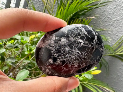 USA Black Onyx Palm Stone 100% Natural Crystal Gemstone - JING WEN CRYSTAL