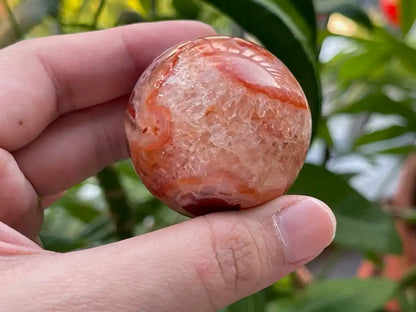 India Carnelian Sphere 4.3cm+ 100% Natural Crystal Gemstone - JING WEN CRYSTAL