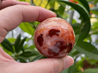 India Carnelian Sphere 4.3cm+ 100% Natural Crystal Gemstone - JING WEN CRYSTAL