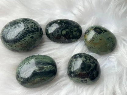 Africa Kambaba Jasper Palm Stone 100% Natural Crystal Gemstone - JING WEN CRYSTAL