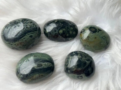 Africa Kambaba Jasper Palm Stone 100% Natural Crystal Gemstone - JING WEN CRYSTAL