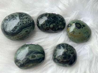 Africa Kambaba Jasper Palm Stone 100% Natural Crystal Gemstone - JING WEN CRYSTAL