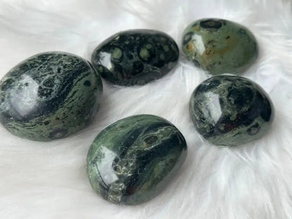 Africa Kambaba Jasper Palm Stone 100% Natural Crystal Gemstone - JING WEN CRYSTAL