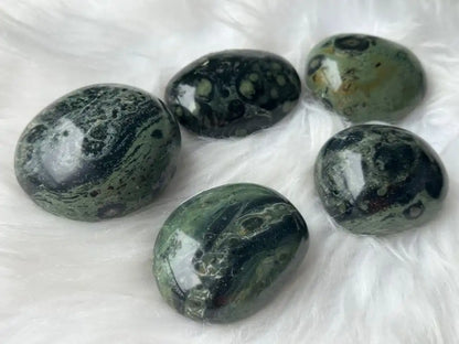 Africa Kambaba Jasper Palm Stone 100% Natural Crystal Gemstone - JING WEN CRYSTAL