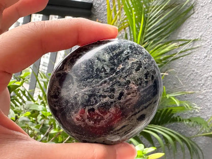 Africa Kambaba Jasper Palm Stone 100% Natural Crystal Gemstone - JING WEN CRYSTAL