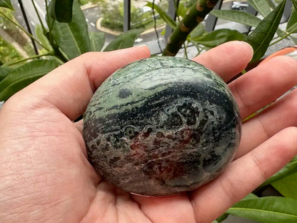 Africa Kambaba Jasper Palm Stone 100% Natural Crystal Gemstone - JING WEN CRYSTAL