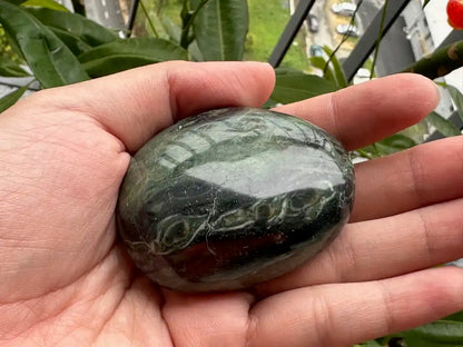 Africa Kambaba Jasper Palm Stone 100% Natural Crystal Gemstone - JING WEN CRYSTAL