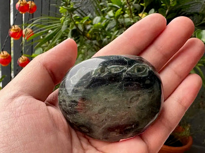 Africa Kambaba Jasper Palm Stone 100% Natural Crystal Gemstone - JING WEN CRYSTAL