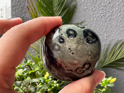 Africa Kambaba Jasper Palm Stone 100% Natural Crystal Gemstone - JING WEN CRYSTAL