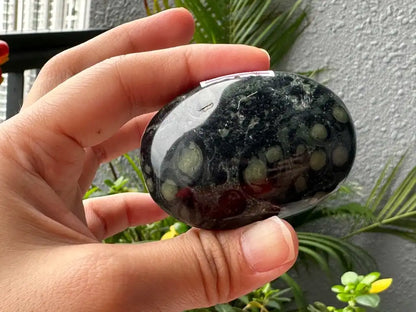 Africa Kambaba Jasper Palm Stone 100% Natural Crystal Gemstone - JING WEN CRYSTAL