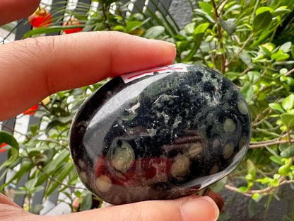 Africa Kambaba Jasper Palm Stone 100% Natural Crystal Gemstone - JING WEN CRYSTAL