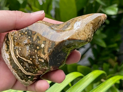 Madagascar Ocean Jasper Flame Shape  A Grade 100% Natural Crystal Gemstone - JING WEN CRYSTAL