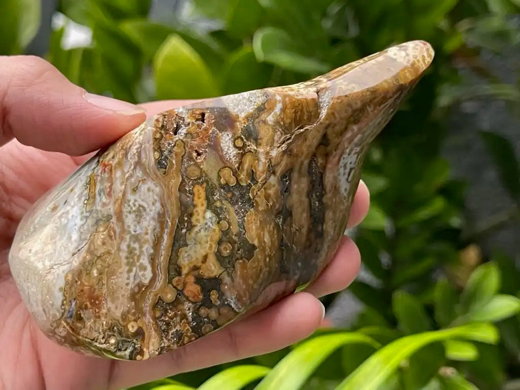 Madagascar Ocean Jasper Flame Shape  A Grade 100% Natural Crystal Gemstone - JING WEN CRYSTAL