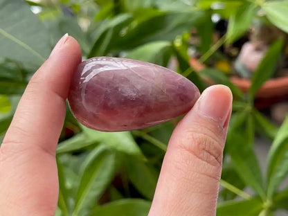 Argentina Pink Amethyst In Star Quartz Palm Tumble 100% Natural Crystal Gemstone - JING WEN CRYSTAL