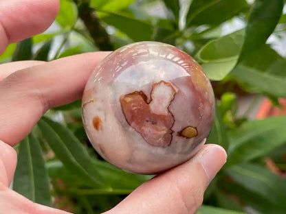 Madagascar Polychrome Jasper Sphere 5cm+ 100% Natural Crystal Gemstone - JING WEN CRYSTAL